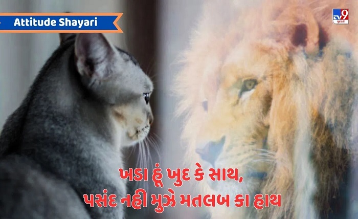 gujarati shayari attitude